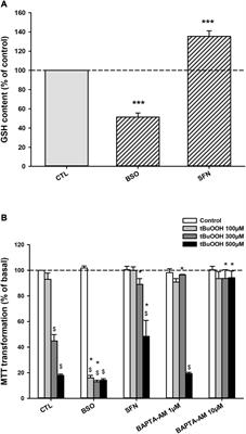 Manipulations of Glutathione Metabolism Modulate IP3-Mediated Store-Operated Ca2+ Entry on Astroglioma Cell Line